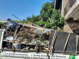 Best Yard Waste Removal in USA